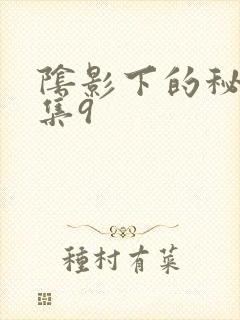 阴影下的秘密全集9