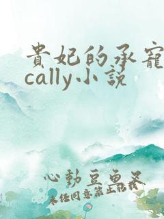 贵妃的承宠日常cally小说