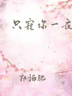 只宠你一夜