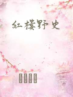红楼野史