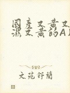 国产又黄又硬又湿又黄的A片小说