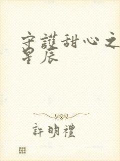 守护甜心之暗夜星辰