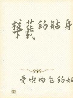 校花的贴身保镖下载