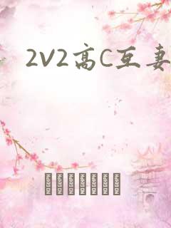 2V2高C互妻