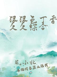 狠狠色丁香婷婷久久综合