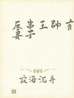 反串王帅有几任妻子