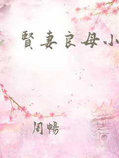 贤妻良母小说