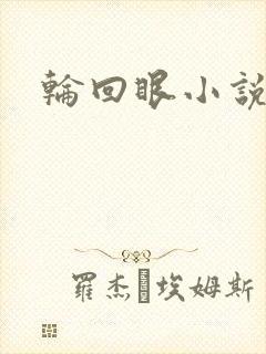 轮回眼小说
