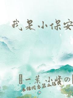 我是小保安