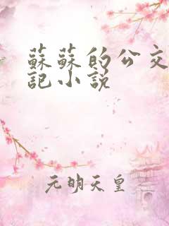 苏苏的公交车日记小说