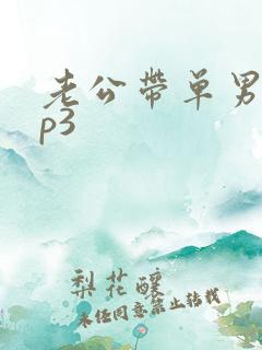 老公带单男回来p3