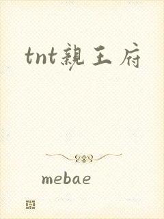 tnt亲王府