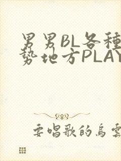 男男BL各种姿势地方PLAY文