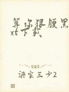 算你狠腹黑男txt下载