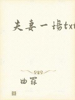 夫妻一场txt
