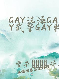GAY洗澡GAY武警GAY软件