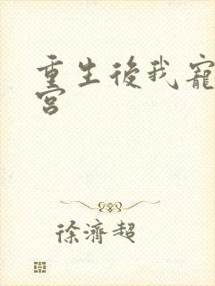 重生后我宠冠东宫