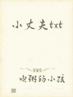 小丈夫txt