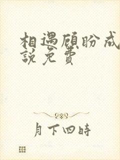 相遇顾盼成欢小说免费