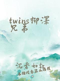 twins柳泽兄弟