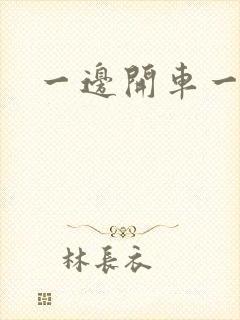 一边开车一边做