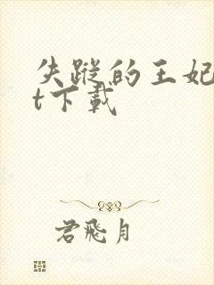 失踪的王妃txt下载