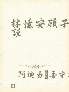 林忆安顾子铭小说