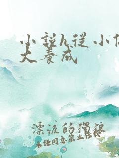 小说h从小做到大养成