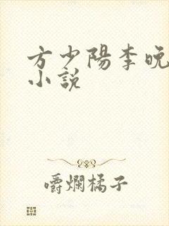 方少阳李晚晴的小说