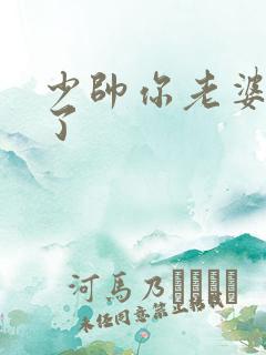 少帅你老婆又跑了