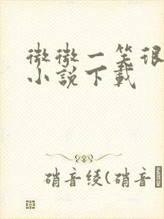 微微一笑很倾城小说下载