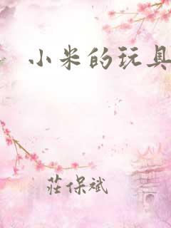 小米的玩具日记