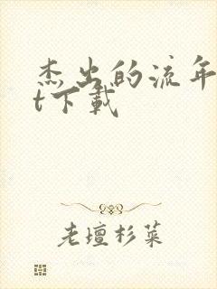 杰出的流年txt下载