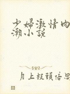 少妇激情肉欲高潮小说