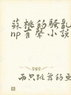 苏桃的骚乱文肉np有声小说