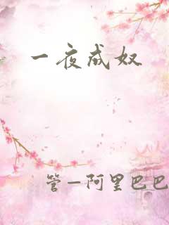 一夜成奴