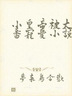 小皇帝被大臣轮番宠爱小说