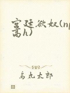 宫廷欲奴(np高h)