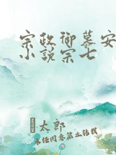 宗政御慕安安的小说宗七