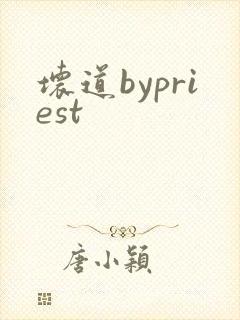 坏道bypriest