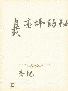 月亮坪的秘密下载