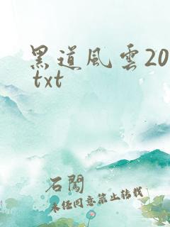 黑道风云20年 txt