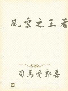 风云之王者人生