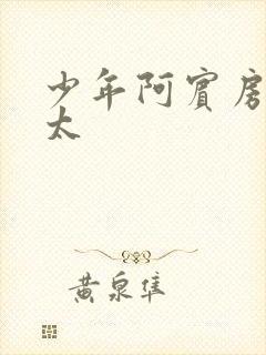 少年阿宾房东太太