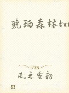 琥珀森林txt