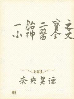 一胎二宝之弃妃小神医全文免费阅读