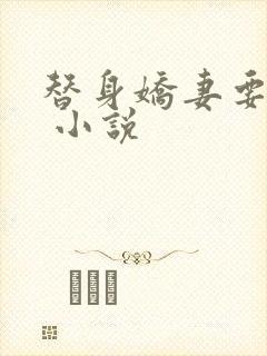 替身娇妻要离婚 小说