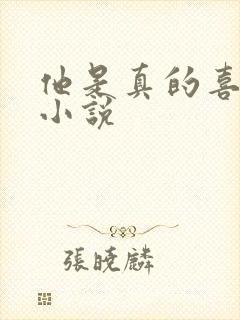 他是真的喜欢你小说