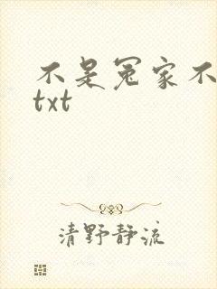 不是冤家不聚头txt
