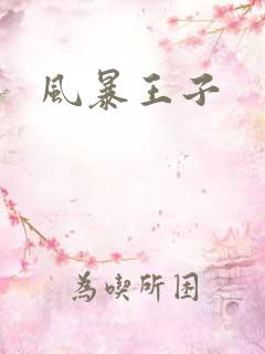 风暴王子